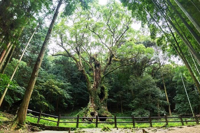 f:id:Nathannate:20180409191007j:plain