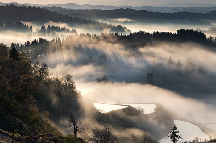 f:id:Nathannate:20180409192714j:plain