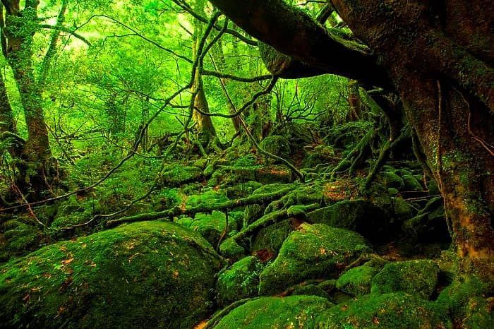 f:id:Nathannate:20180409194043j:plain