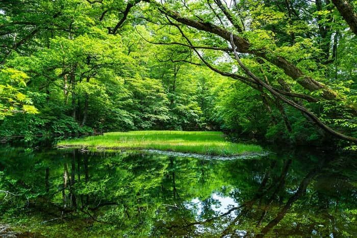 f:id:Nathannate:20180409194830j:plain