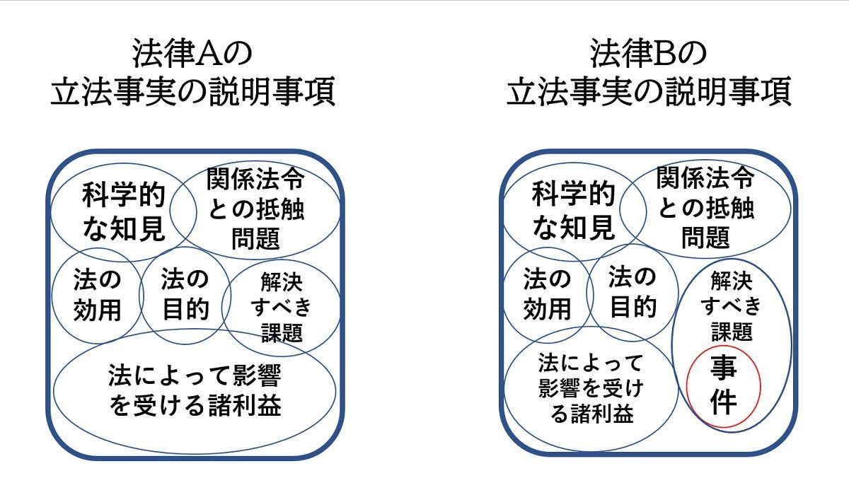 立法事実の説明事項