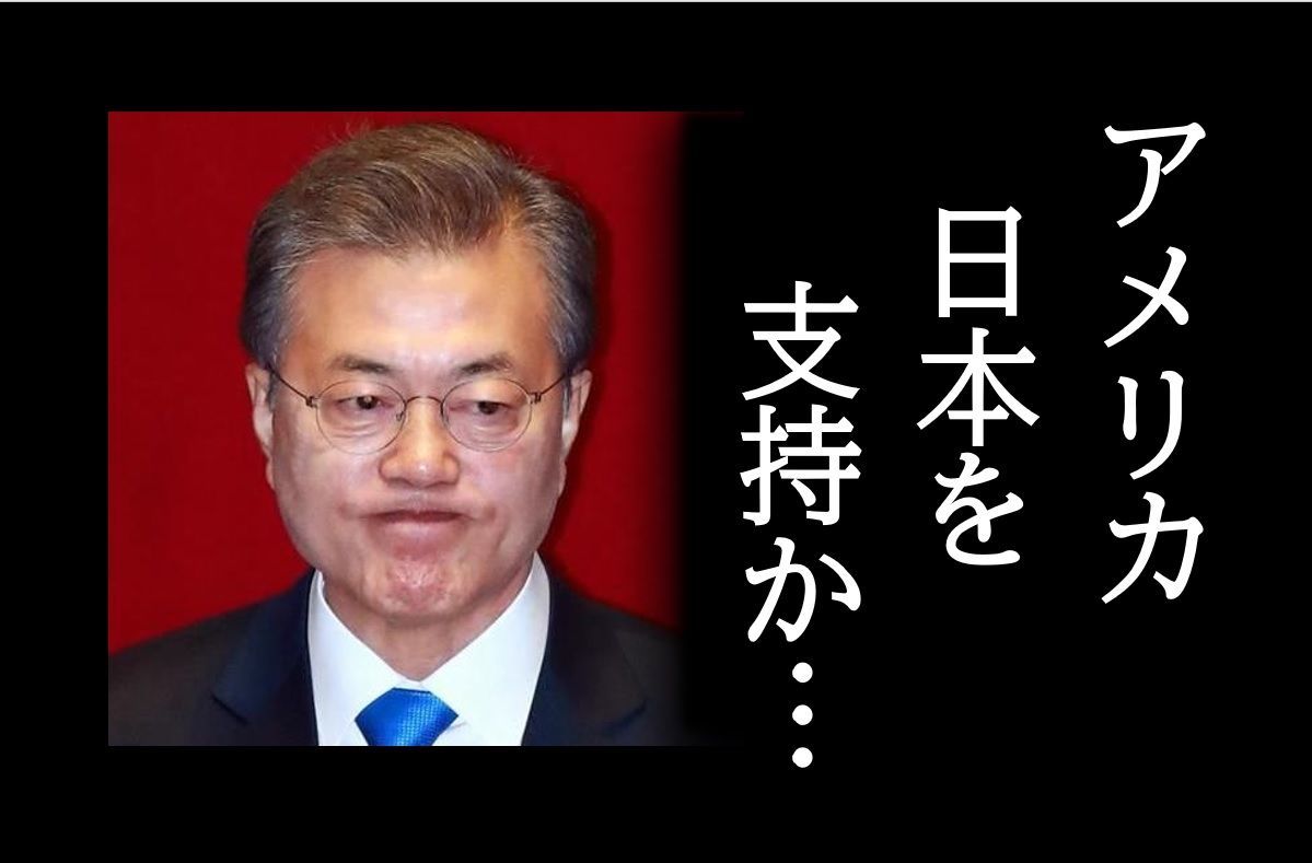 輸出管理問題、WTO紛争解決機関でアメリカが日本を支持