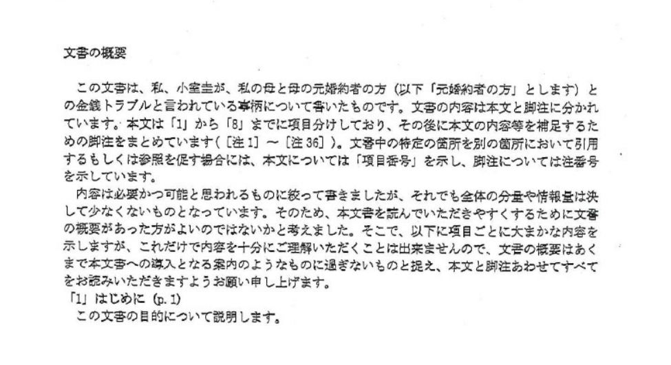 小室圭文書の全文、要旨・概要