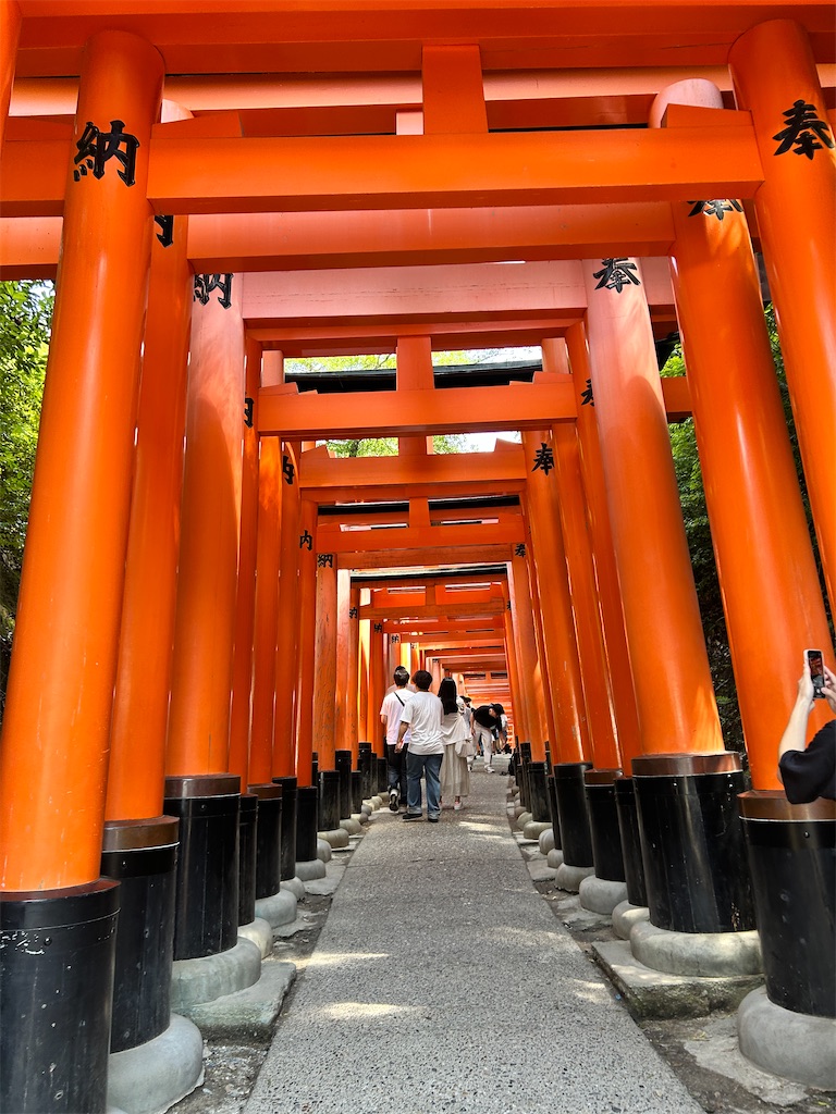 f:id:Natooooo310:20250701151553j:image f:id:Natooooo310:20250701151553j:image