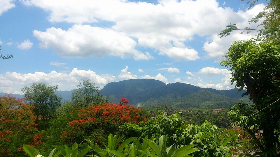 f:id:Natsbar:20210525211742j:plain