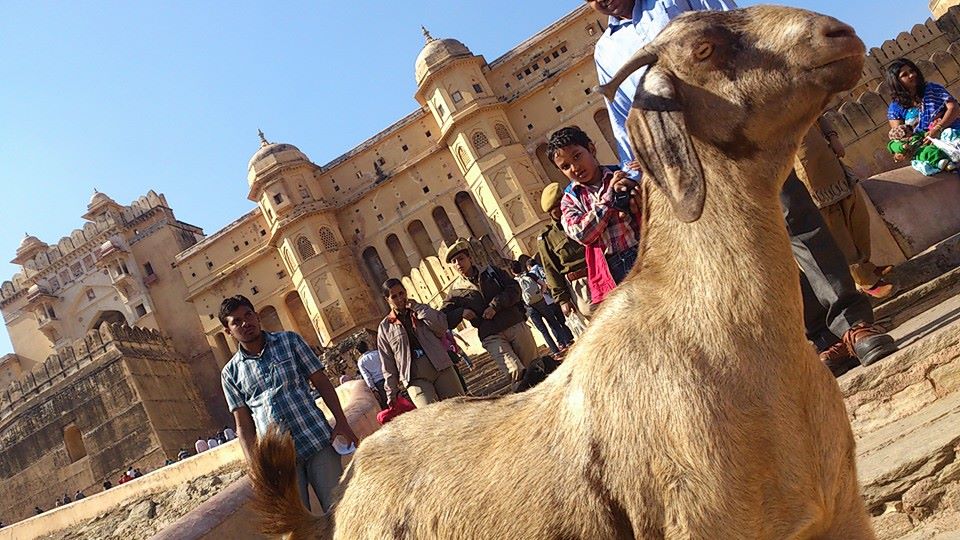 f:id:Natsbar:20210531214556j:plain