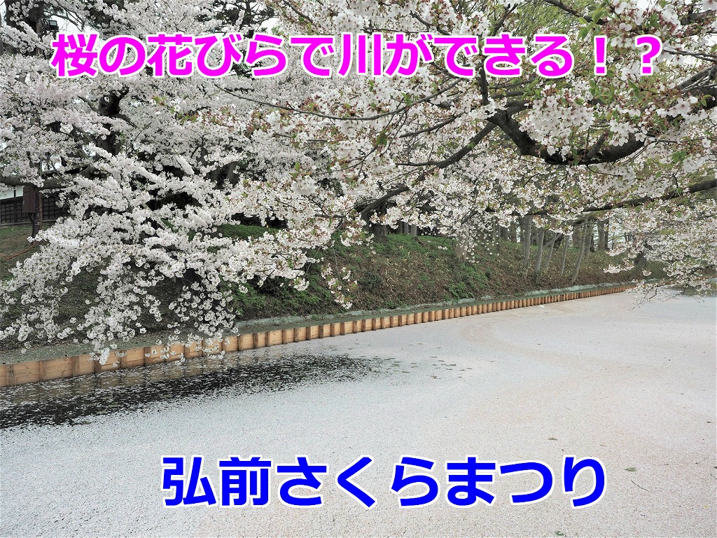 青森 桜の川ができる 弘前さくらまつりを100倍楽しむ方法 Tabi One 青森 桜の川ができる 弘前さくらまつりを100倍楽しむ方法 Tabi One