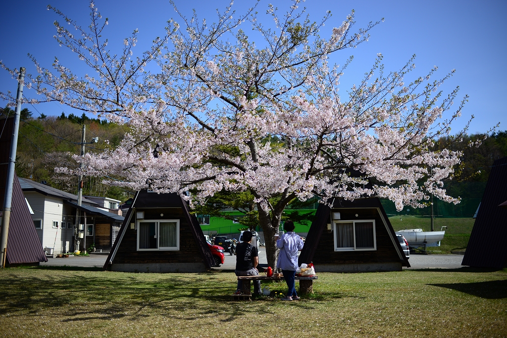 f:id:Natty7:20170530003958j:plain