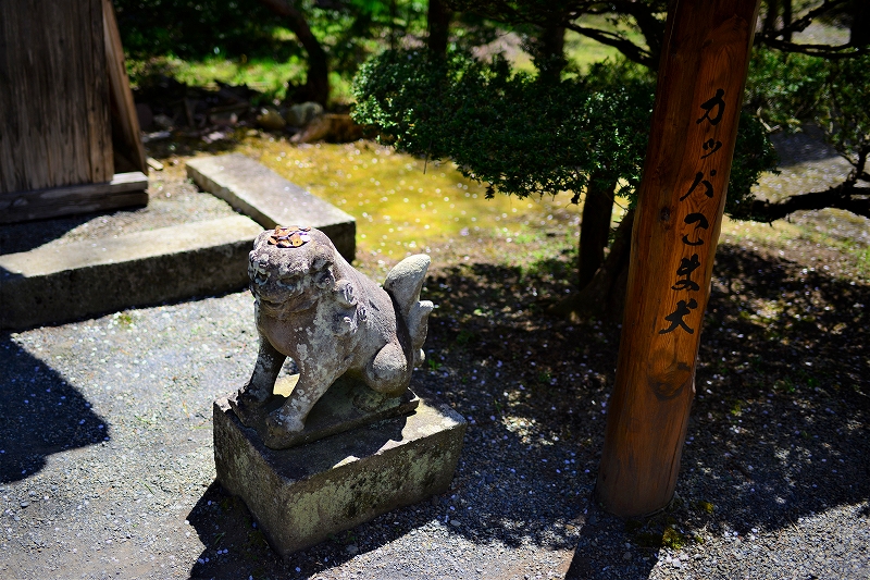 f:id:Natty7:20170531000301j:plain