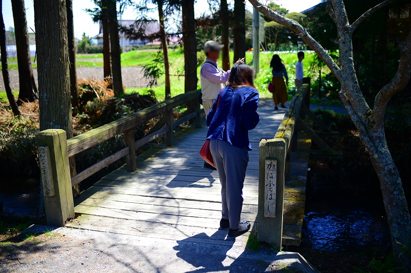 f:id:Natty7:20170531000306j:plain