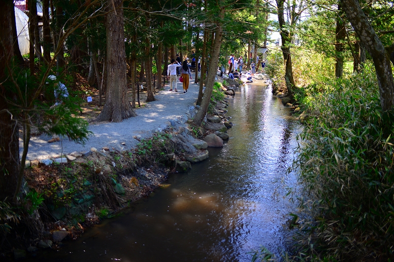 f:id:Natty7:20170531000310j:plain