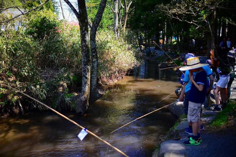 f:id:Natty7:20170531000317j:plain