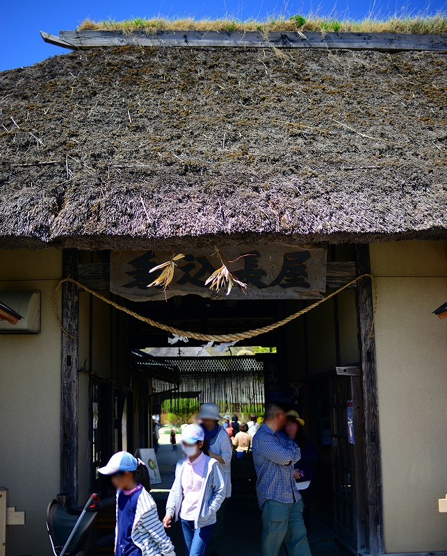 f:id:Natty7:20170531000323j:plain