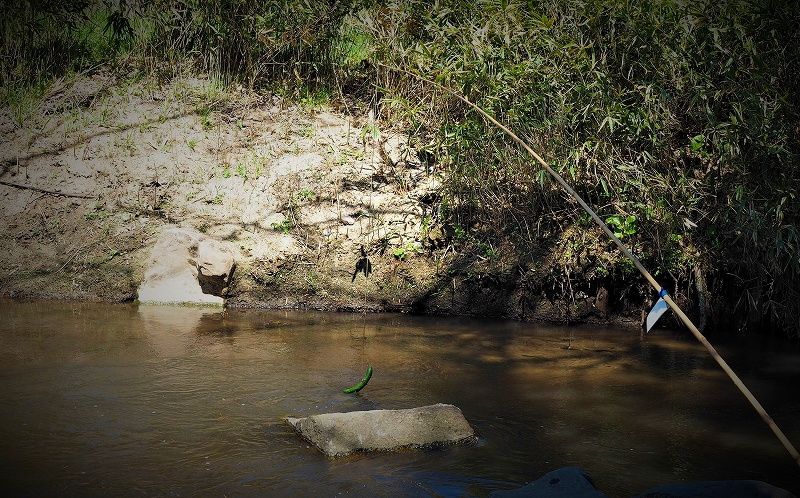 f:id:Natty7:20170531000353j:plain