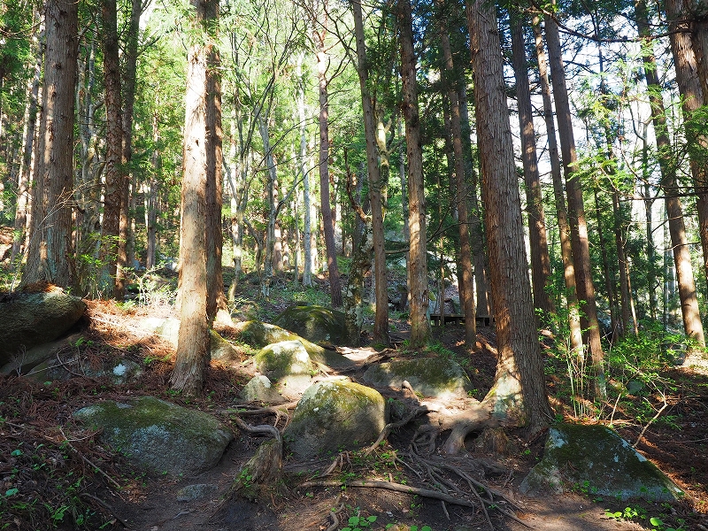 f:id:Natty7:20170531000401j:plain