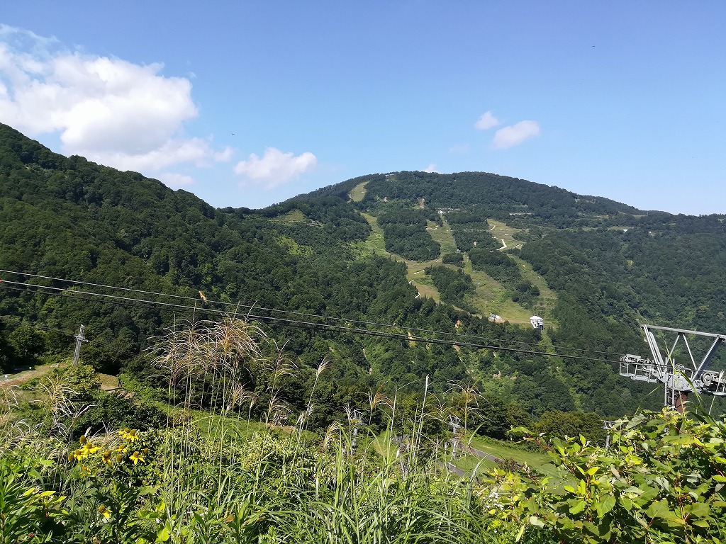 f:id:NatuXa:20170907203847j:plain