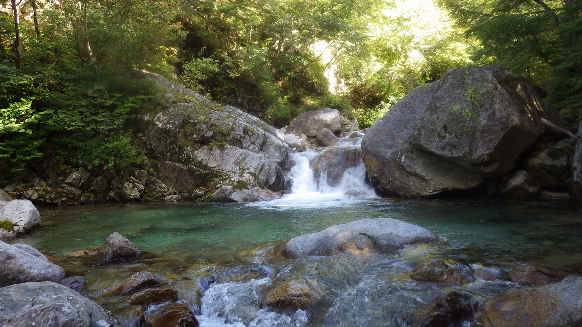 f:id:Natural-Drift:20190622180313j:plain f:id:Natural-Drift:20190622180313j:plain
