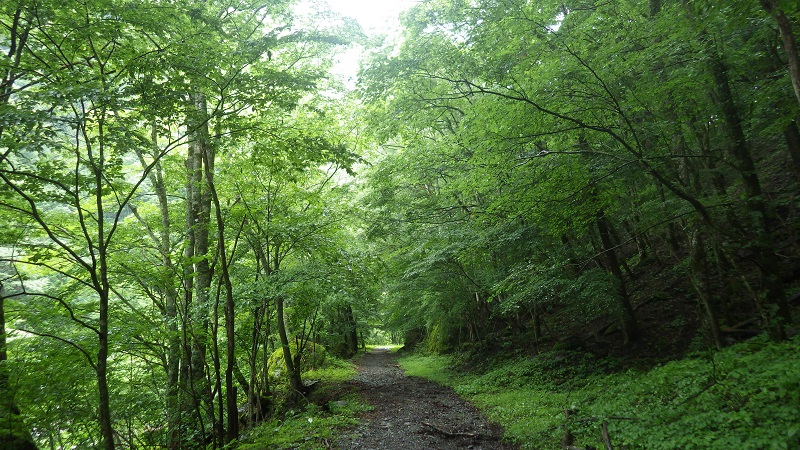 f:id:Natural-Drift:20190715163510j:plain f:id:Natural-Drift:20190715163510j:plain