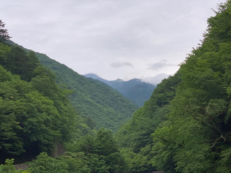f:id:Natural-Drift:20190715163853j:plain f:id:Natural-Drift:20190715163853j:plain