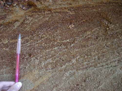 f:id:Naturalhistory:20060317111815j:image f:id:Naturalhistory:20060317111815j:image