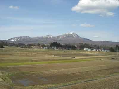 f:id:Naturalhistory:20060323152537j:image