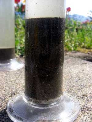 f:id:Naturalhistory:20060417145453j:image