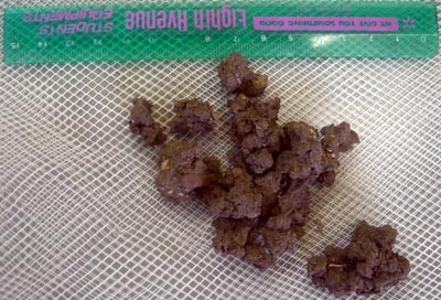 f:id:Naturalhistory:20060419153017j:image