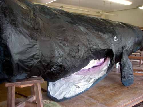 f:id:Naturalhistory:20060517144357j:image f:id:Naturalhistory:20060517144357j:image