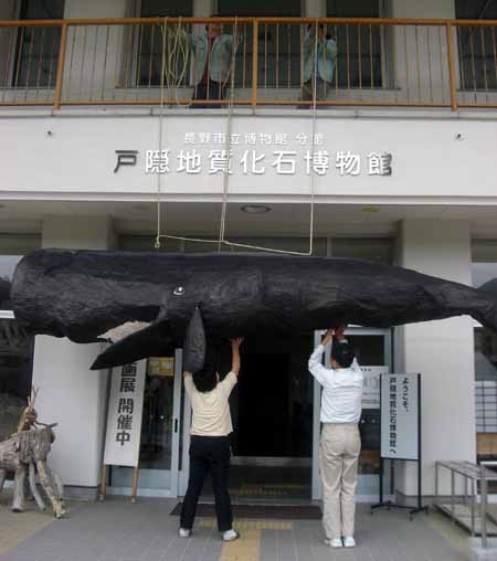 f:id:Naturalhistory:20060521140410j:image