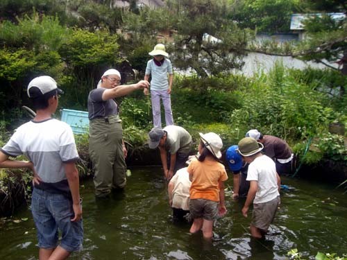 f:id:Naturalhistory:20060602142629j:image f:id:Naturalhistory:20060602142629j:image
