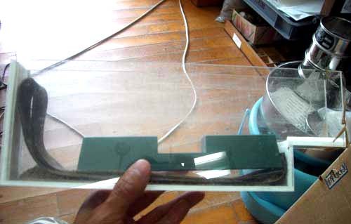 f:id:Naturalhistory:20060719115647j:image f:id:Naturalhistory:20060719115647j:image