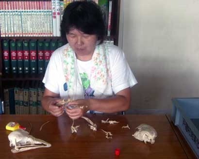 f:id:Naturalhistory:20060724153715j:image