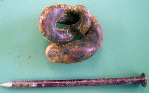 f:id:Naturalhistory:20060801143511j:image