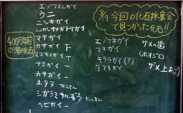 f:id:Naturalhistory:20060801160040j:image