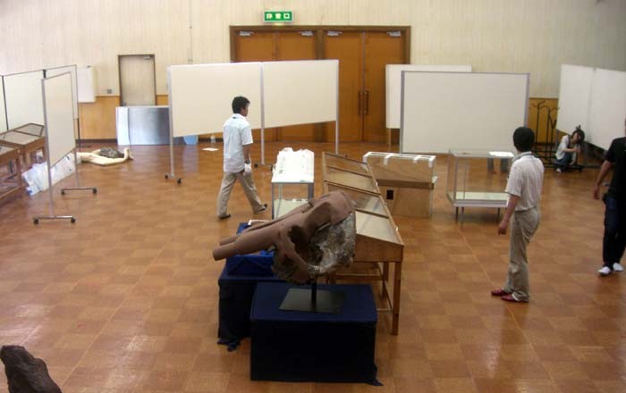 f:id:Naturalhistory:20060814151831j:image
