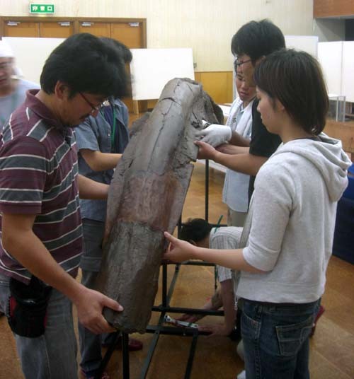f:id:Naturalhistory:20060814152317j:image