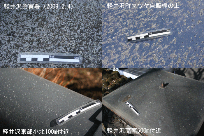 f:id:Naturalhistory:20090206114611g:image