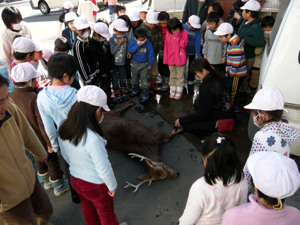 f:id:Naturalhistory:20090217154411g:image