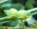 20090509154412