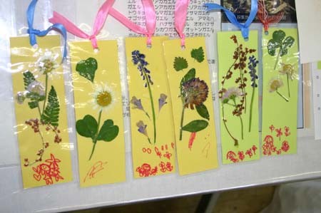 f:id:Naturalhistory:20090517120958j:image