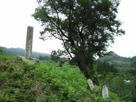 f:id:Naturalhistory:20090710153110j:image f:id:Naturalhistory:20090710153110j:image