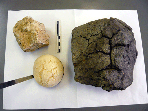 f:id:Naturalhistory:20090716182856g:image