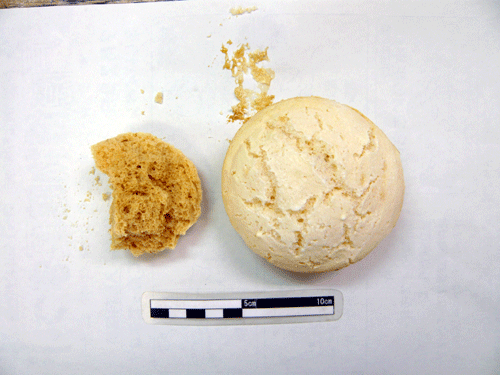 f:id:Naturalhistory:20090716182902g:image