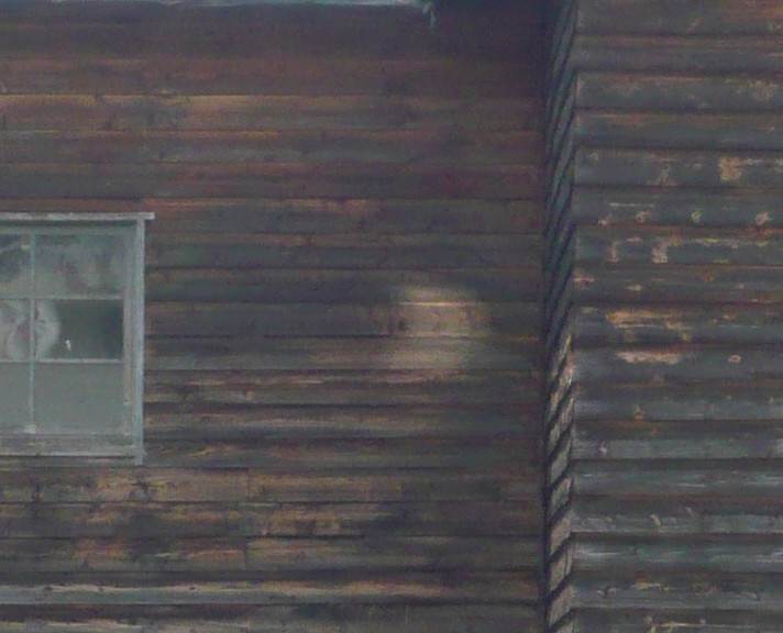 f:id:Naturalhistory:20090722103802j:plain