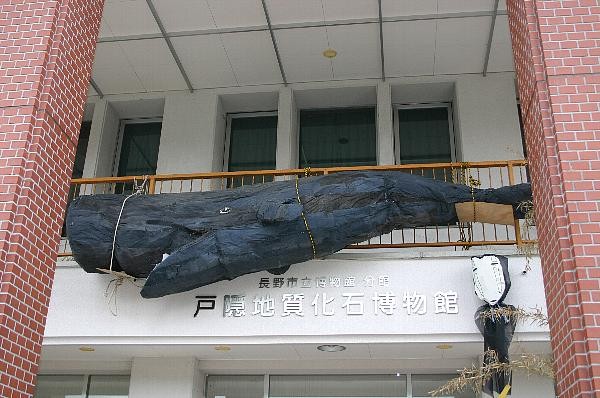 f:id:Naturalhistory:20090724171916j:image f:id:Naturalhistory:20090724171916j:image
