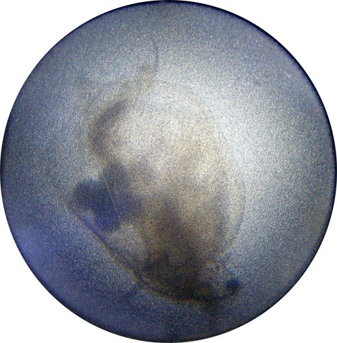 f:id:Naturalhistory:20090815171810j:image