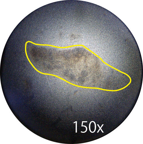 f:id:Naturalhistory:20090815175710j:image