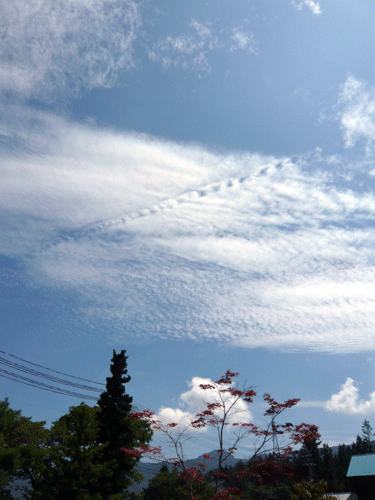f:id:Naturalhistory:20090823173109g:image