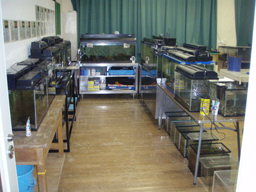 f:id:Naturalhistory:20090901181346j:image