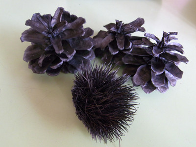 f:id:Naturalhistory:20090911151711j:image